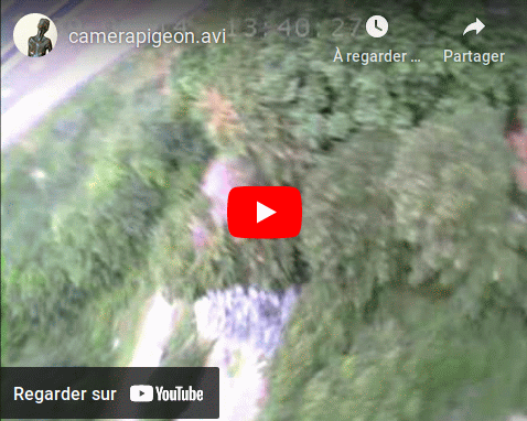 lien vers la vid�o d'un pigeon transform� en "drone" vivant